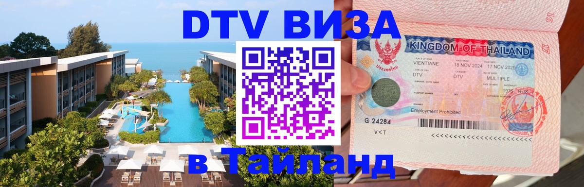 Оформление DTV визы под ключ: стоимость и тарифы, только загранпаспорт - Санкт-Петербург  08.01.2026 
